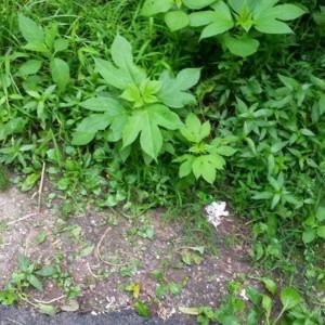 Meet your Posher, Jeffery